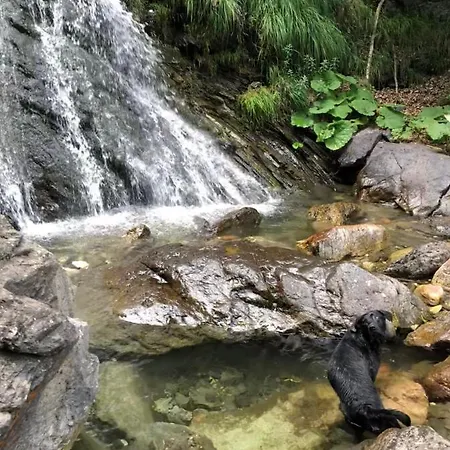 アパート La Limone Riserva Bianca Ski-in Ski-out Seggiovia Morel 1 *