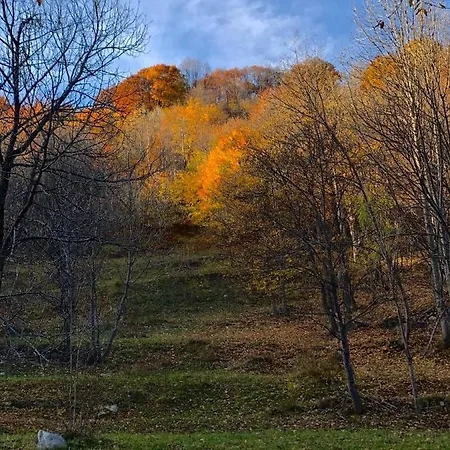 La Limone Riserva Bianca Ski-in Ski-out Seggiovia Morel 1 Apartament *