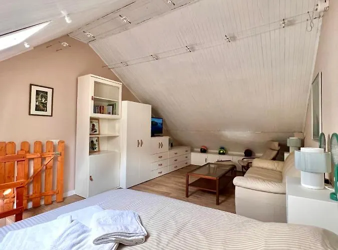 公寓 La Limone Riserva Bianca Ski-in Ski-out Seggiovia Morel 1 *