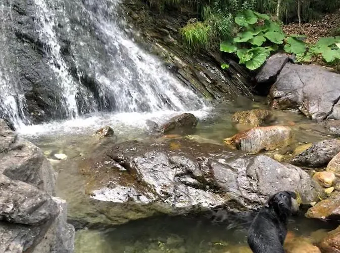 公寓 La Limone Riserva Bianca Ski-in Ski-out Seggiovia Morel 1 *