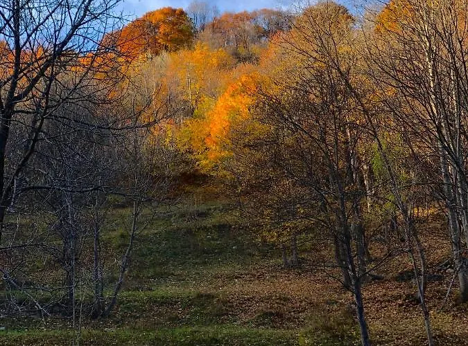 La Limone Riserva Bianca Ski-in Ski-out Seggiovia Morel 1 公寓 *